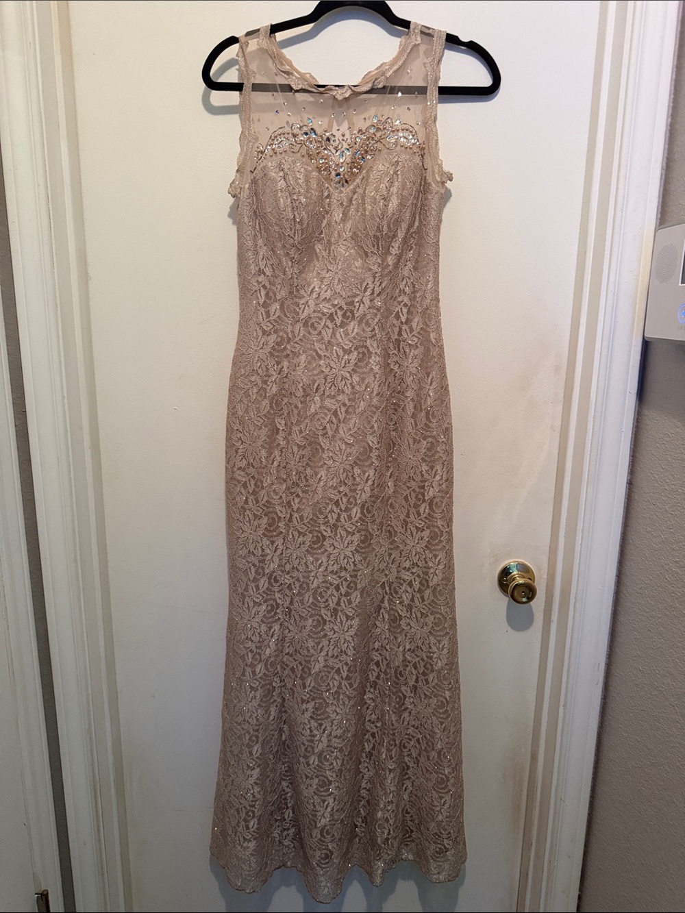 Xscape Blush Lace Maxi Dress with Beaded Illusion Neckline